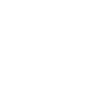 Logo transparent bg white